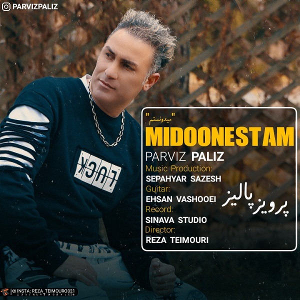 دانلود آهنگ پرویز پالیز میدونستم